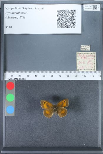 Media type: image;   Entomology 86122